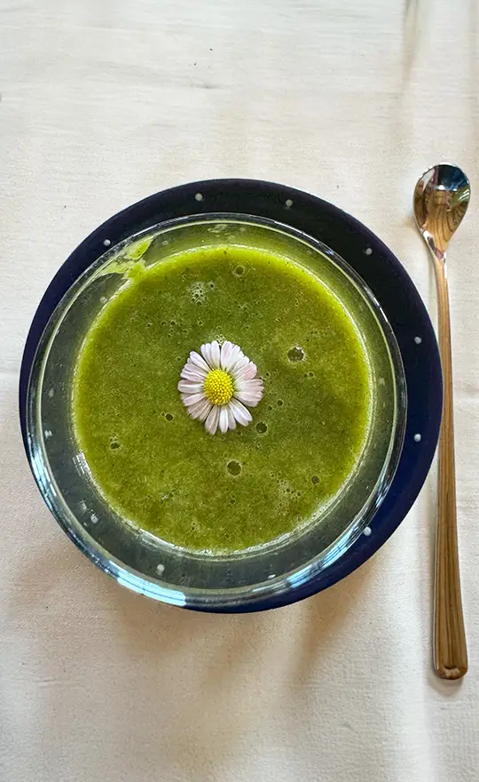 Frisch zubereiteter Gemüsesaft als typische Flüssigkeitszufuhr beim Buchinger Fasten.