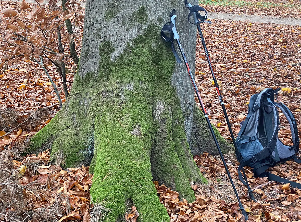 Ausrüstung für das Fastenwandern während einer begleiteten Fastenkur nach Buchinger.