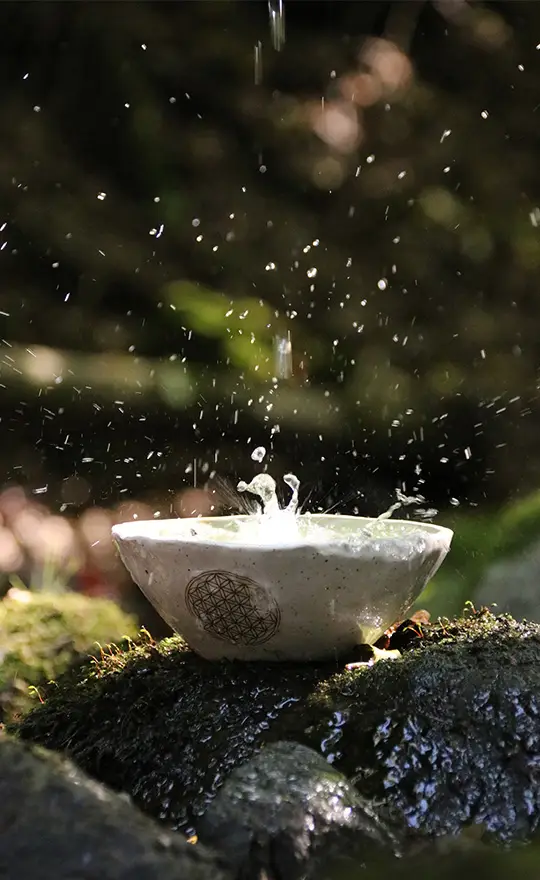 Fastenschüssel mit Wasser als Symbol für die flüssige Ernährung beim Heilfasten nach Buchinger.